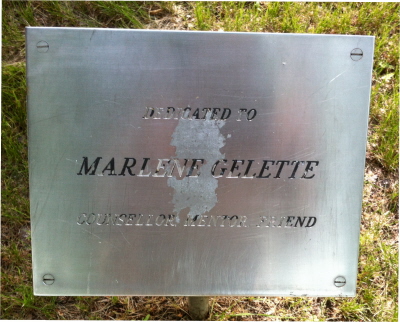 The Plaque